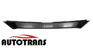 MZ202010600_17296 აბლიცოვკის ზედა მოლდინგი