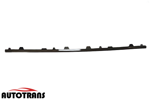 ბამპერის შუა კანტი ნიკელის  (ხრომი)