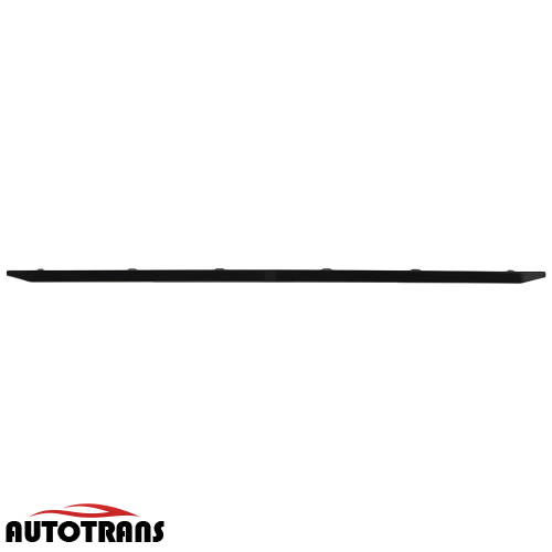 უკანა ბამპერის კანტი შუა