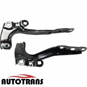 კაპოტის პეტლი მარცხენა 18-23