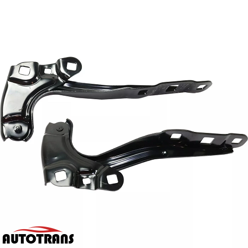 კაპოტის პეტლი მარცხენა 18-23