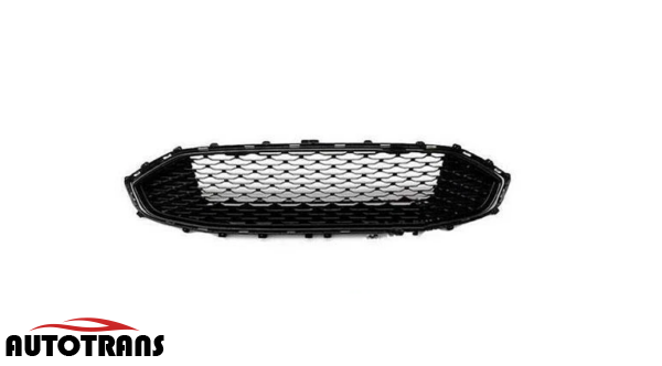 ცენტრალური გისოსი (აბლიცოვკა) შავი უნიკელო sport