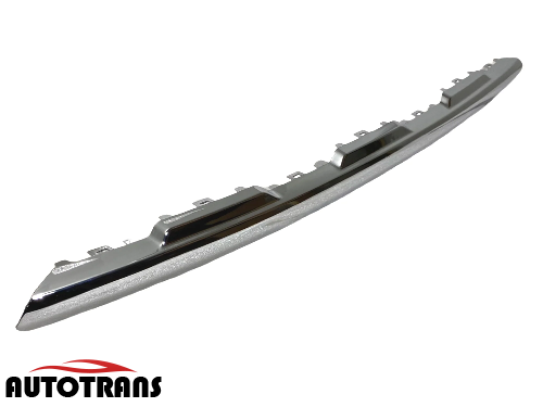 წინა ბამპერის მოლდინგი