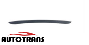 წინა ბამპერის მოლდინგი