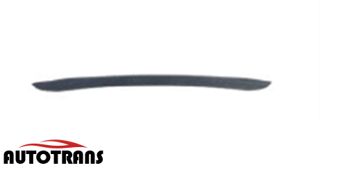 წინა ბამპერის მოლდინგი